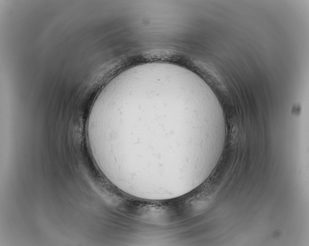 X0000091080498200709041244