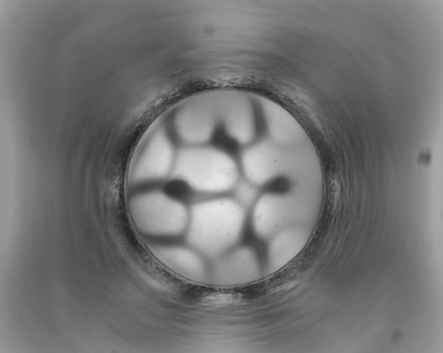 X0000091080499200709041244