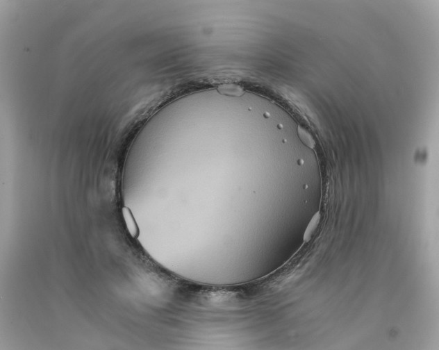 X0000091080501200709041244