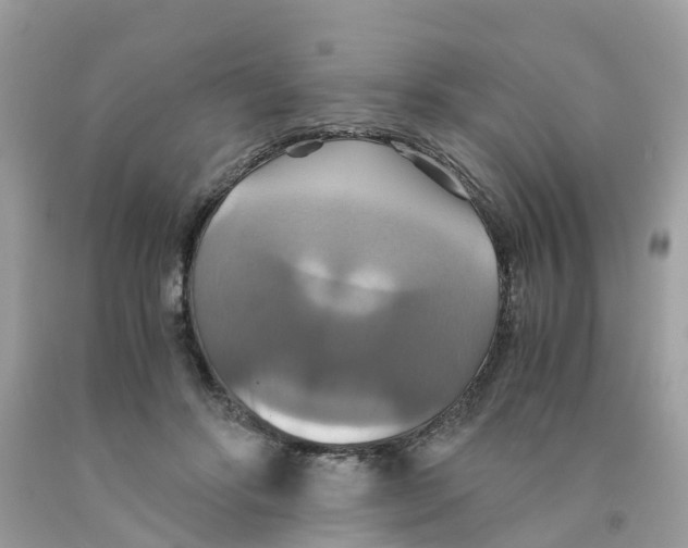 X0000091080502200709041244