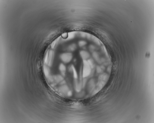 X0000091080503200709041244