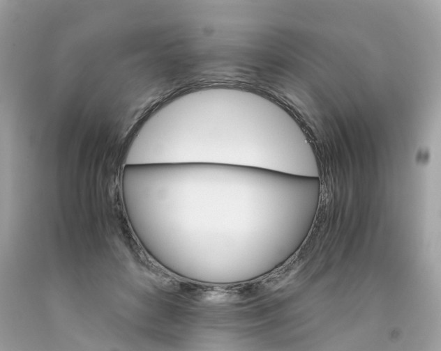 X0000091080504200709041244