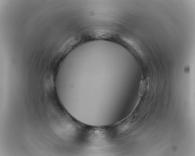 X0000091080506200709041243