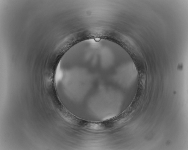 X0000091080507200709041243