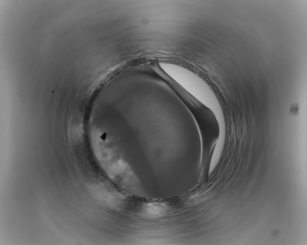 X0000091080508200709041243