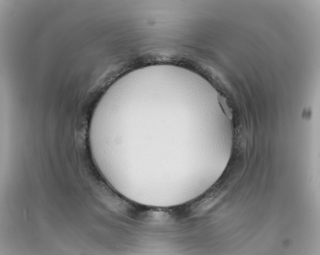 X0000091080509200709041243