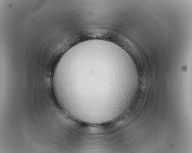 X0000091080510200709041243