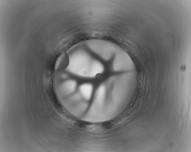 X0000091080511200709041243