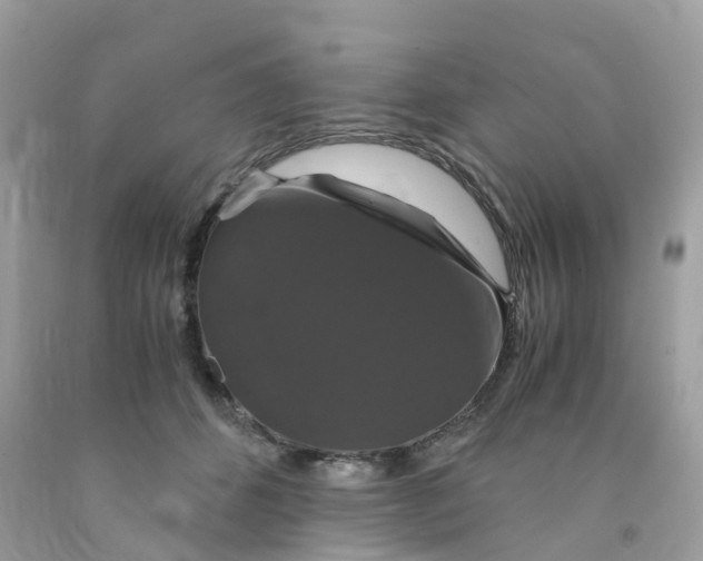 X0000091080512200709041243