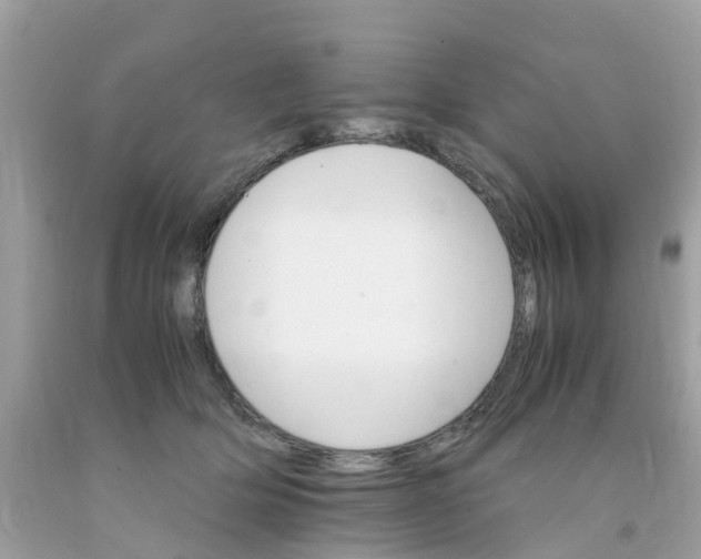 X0000091080514200709041243