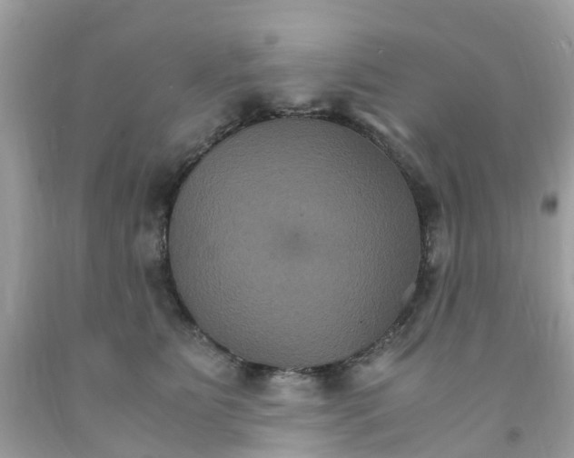 X0000091080515200709041243