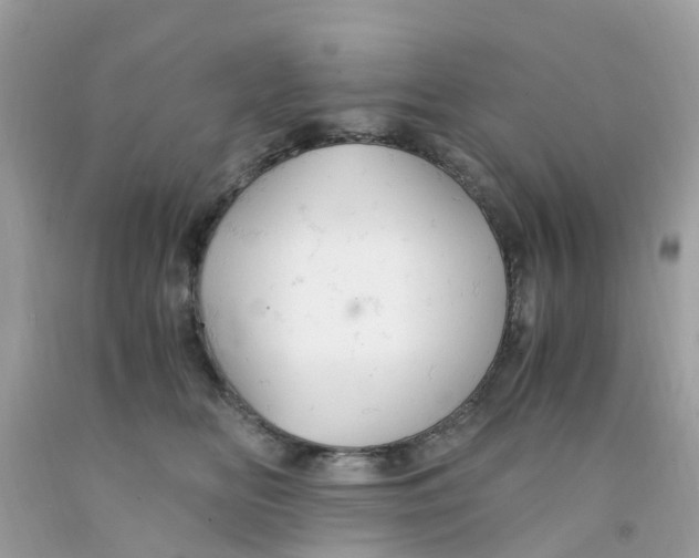 X0000091080518200709041243