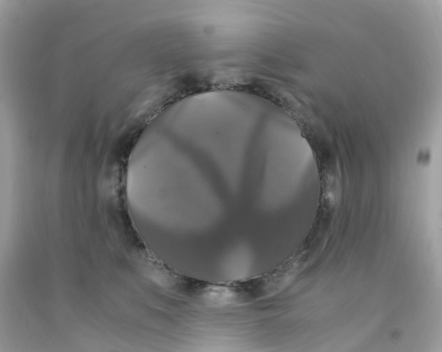 X0000091080519200709041243