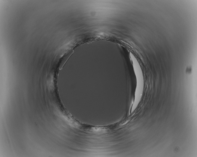 X0000091080520200709041243