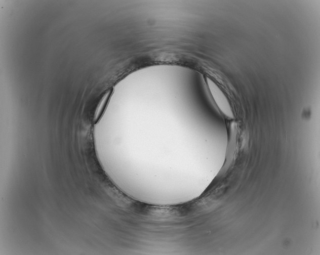 X0000091080521200709041243