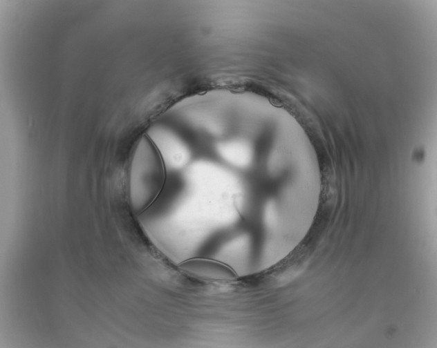 X0000091080523200709041243