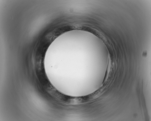 X0000091080525200709041243