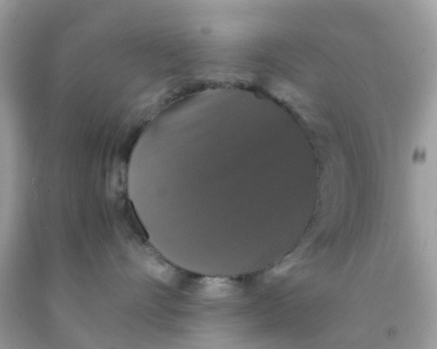 X0000091080528200709041243