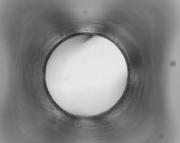 X0000091080529200709041243