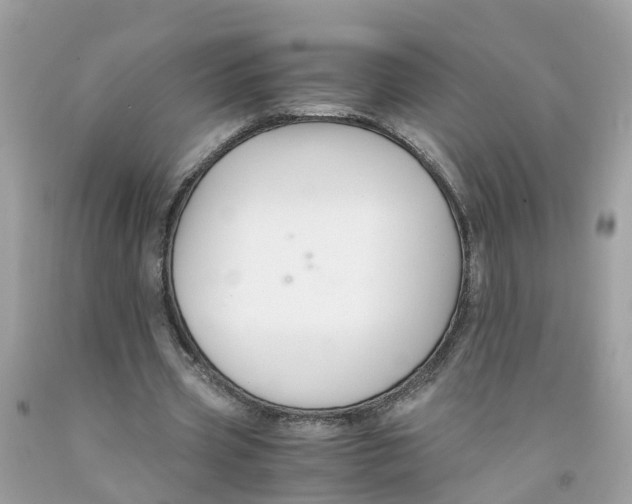 X0000091080533200709041243