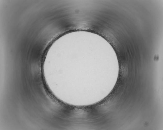 X0000091080534200709041243