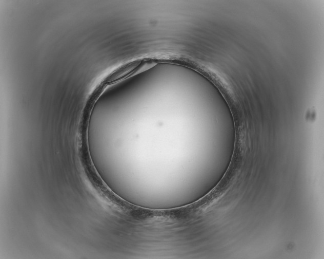 X0000091080536200709041243