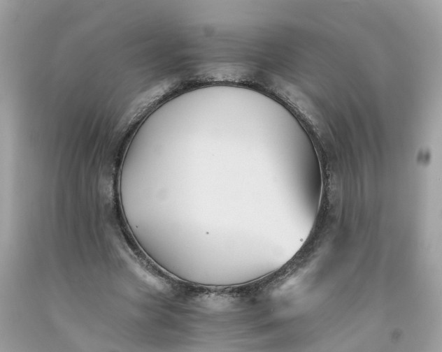 X0000091080537200709041243