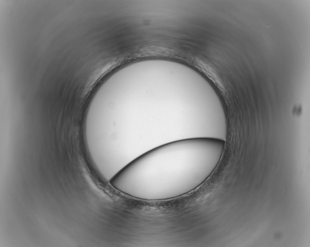 X0000091080538200709041243