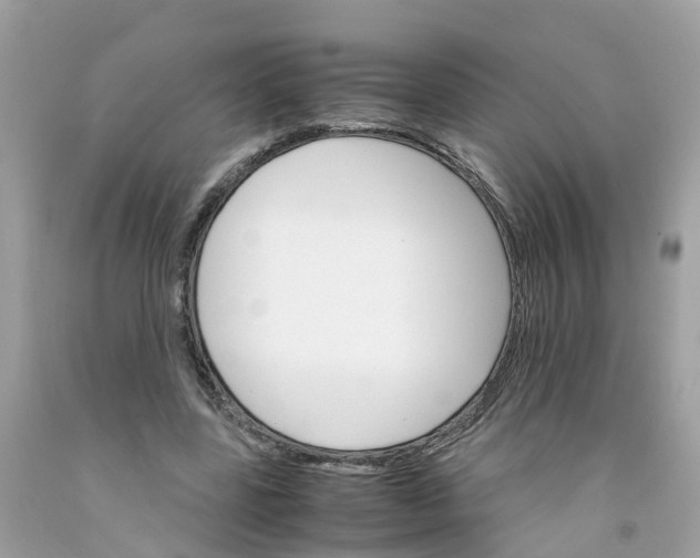 X0000091080539200709041243