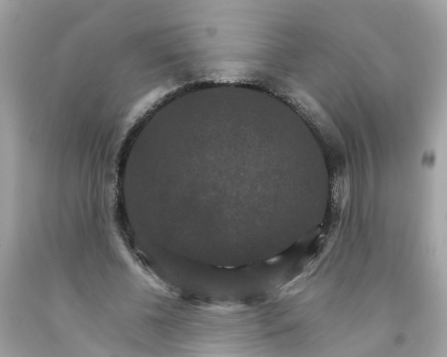 X0000091080540200709041243