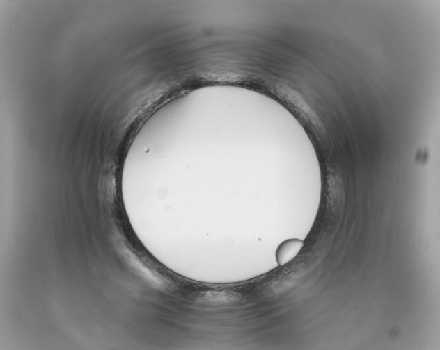 X0000091080541200709041243