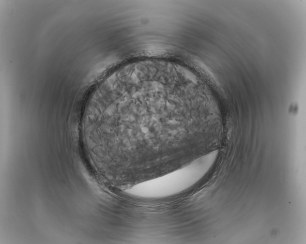 X0000091080542200709041243