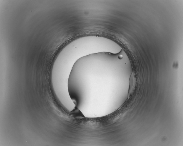 X0000091080546200709041243