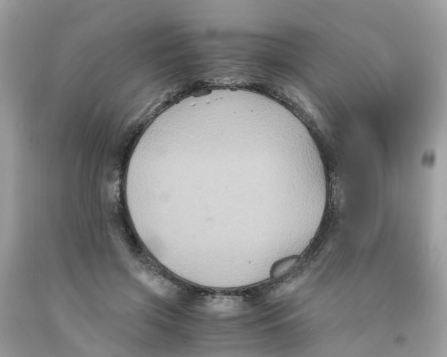 X0000091080549200709041243