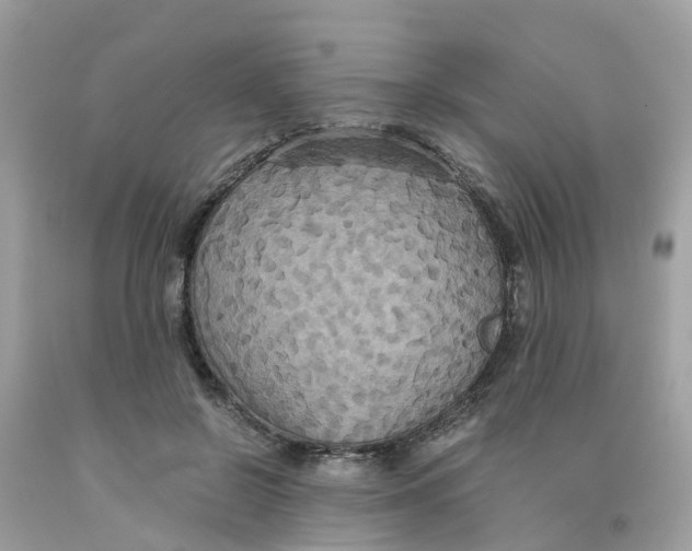 X0000091080550200709041243