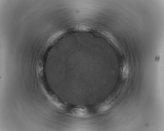 X0000091080552200709041243