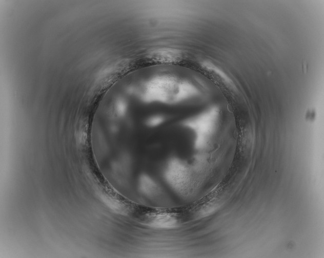 X0000091080553200709041243