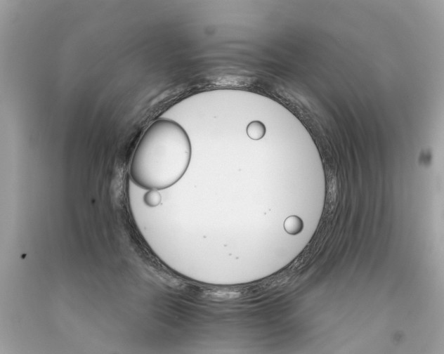 X0000091080554200709041243