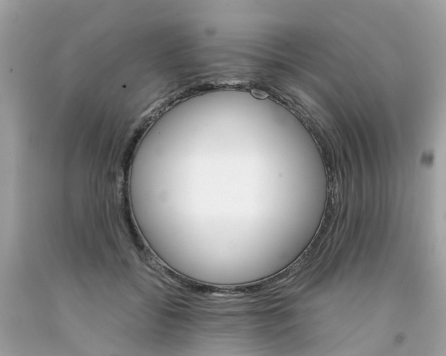 X0000091080556200709041243