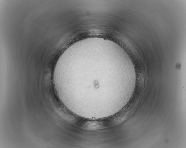 X0000091080557200709041243