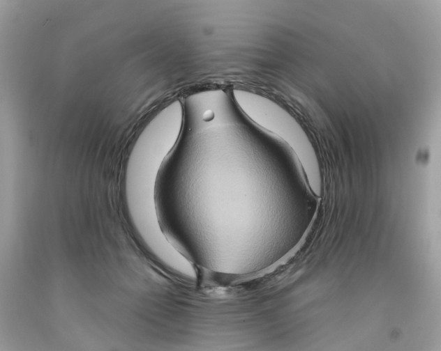 X0000091080558200709041243