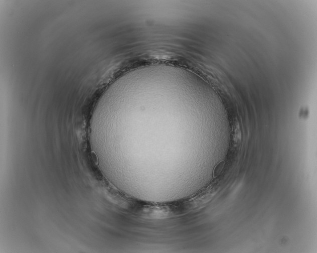 X0000091080559200709041243