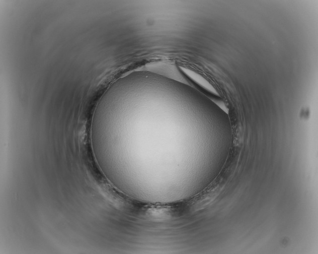 X0000091080560200709041243