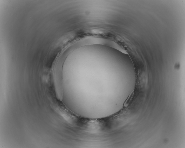 X0000091080562200709041243