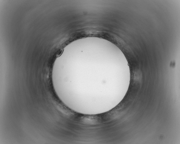 X0000091080567200709041243