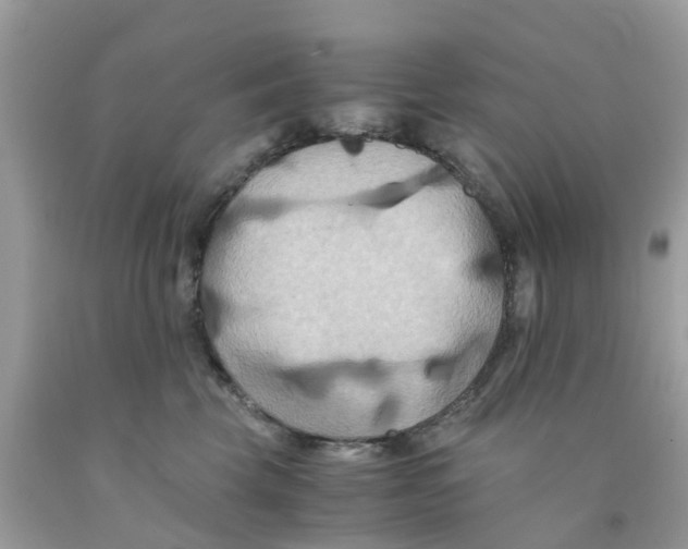 X0000091080569200709041243