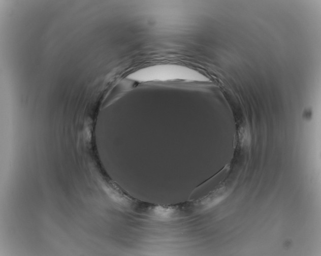 X0000091080570200709041243