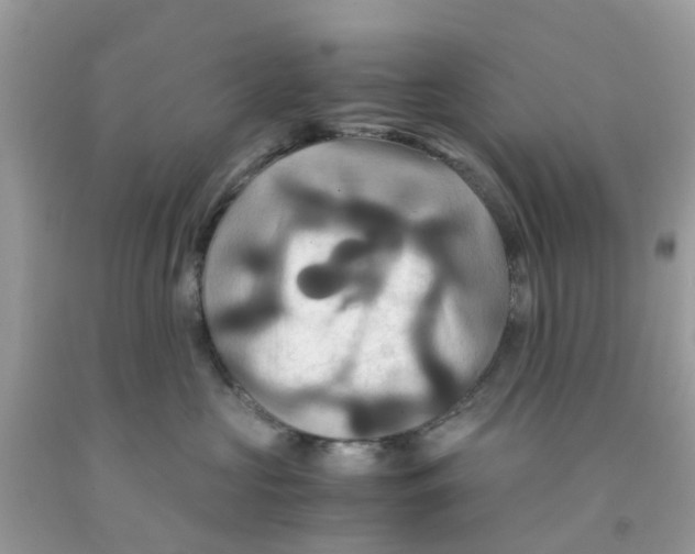 X0000091080573200709041243