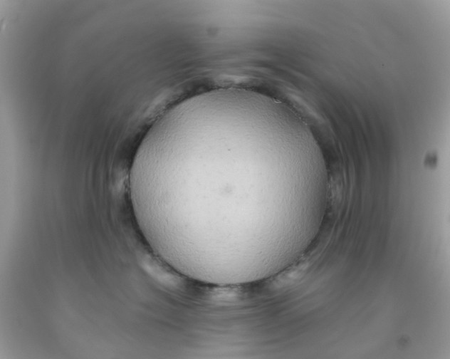 X0000091080574200709041243