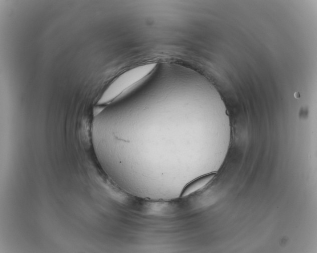 X0000091080575200709041243